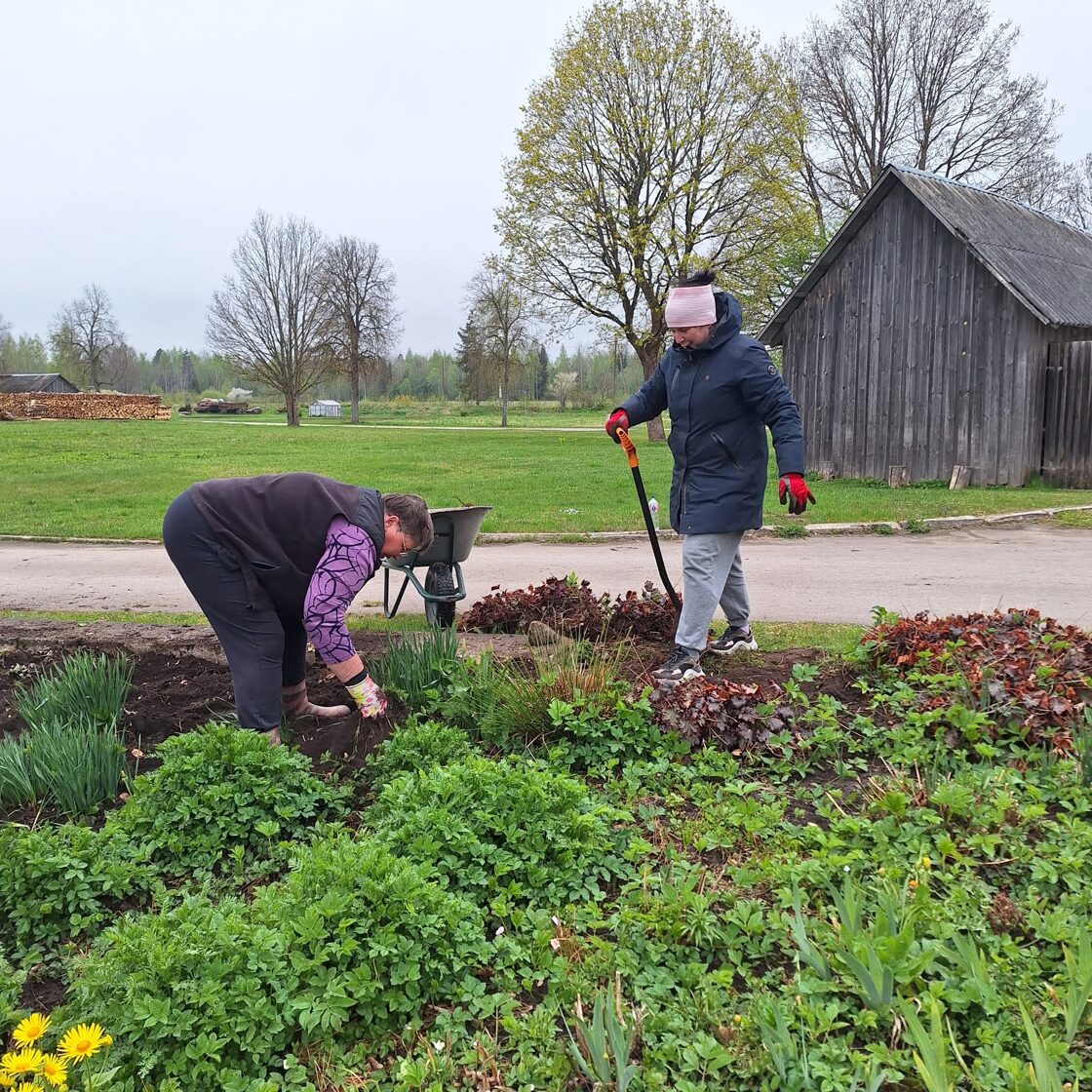 maleina.jpg
